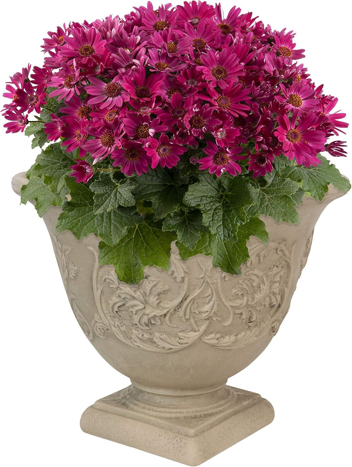 SunnyDaze Decor Darcy 16" x 16" x 13" Round Polyresin Urn Outdoor Planter Pot