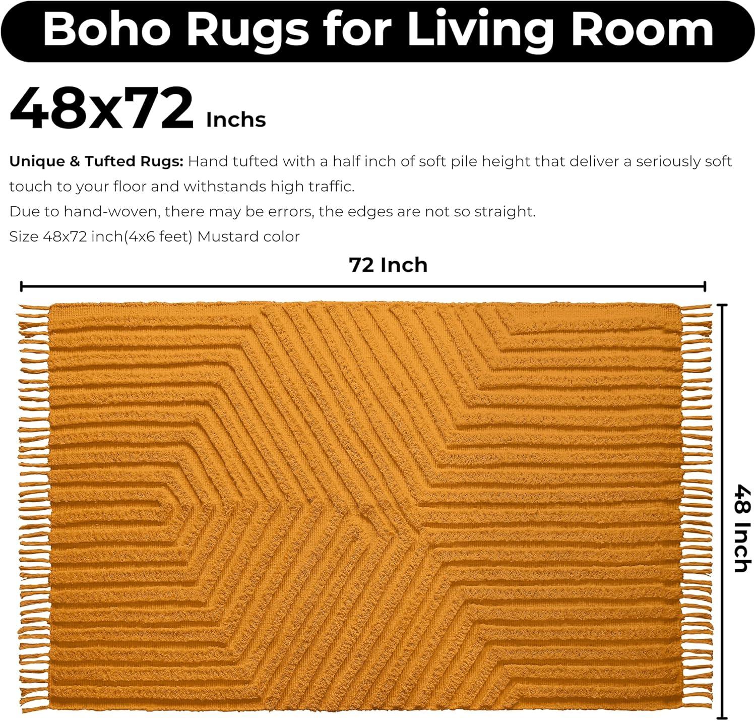 Boho Rugs for Living Room 4x6, Farmhouse Cotton Area Rug for Bedroom, Washable Tufted Indoor Floor Carpet for Kitchen Dorm Office Dining Room Office H