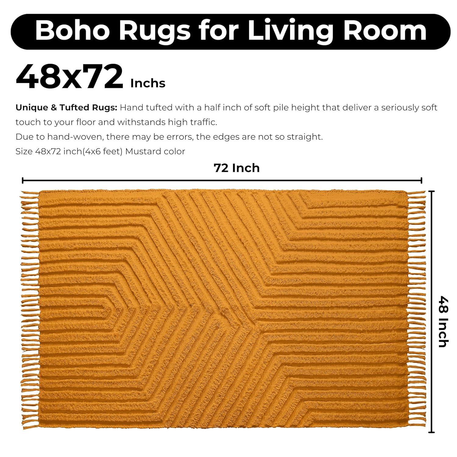 Boho Rugs for Living Room 4x6, Farmhouse Cotton Area Rug for Bedroom, Washable Tufted Indoor Floor Carpet for Kitchen Dorm Office Dining Room Office H
