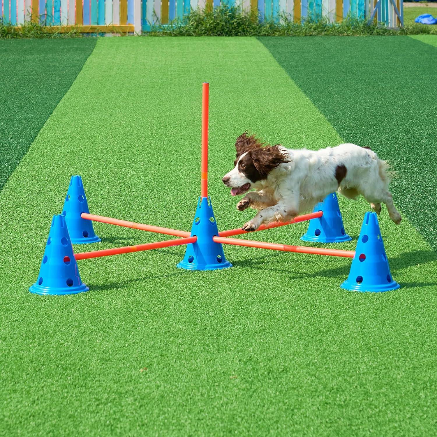 Blue and Orange PVC Dog Agility Hurdle Cone Set