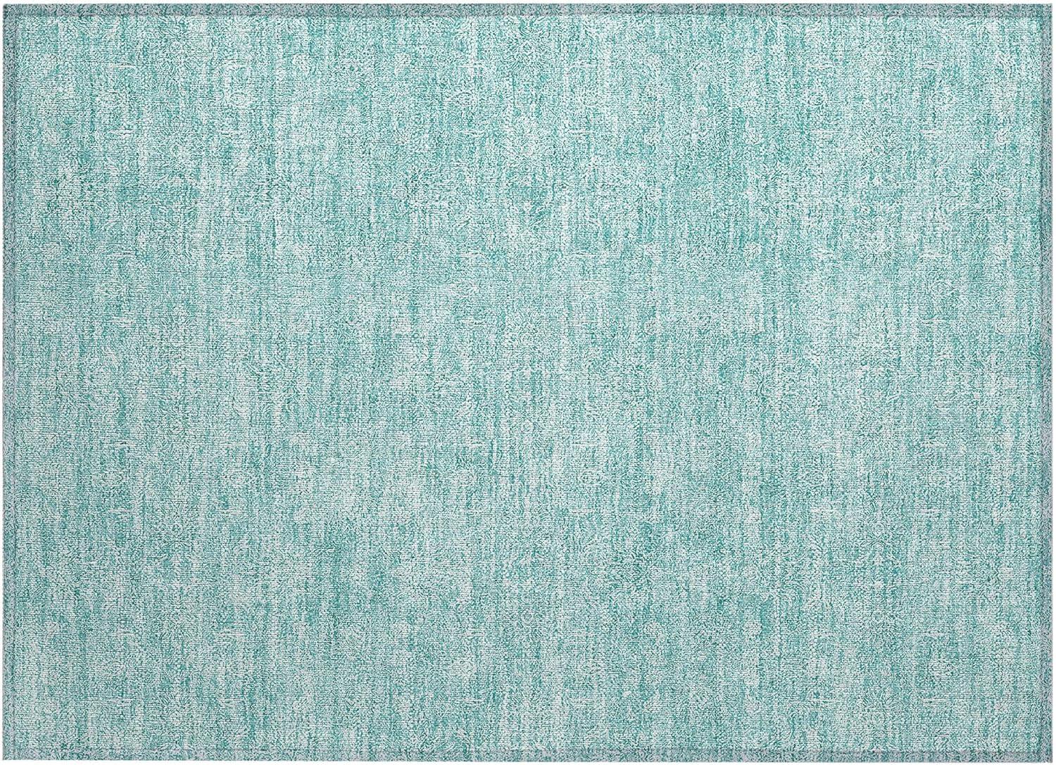 Aqua Flat Woven Synthetic Indoor/Outdoor Area Rug