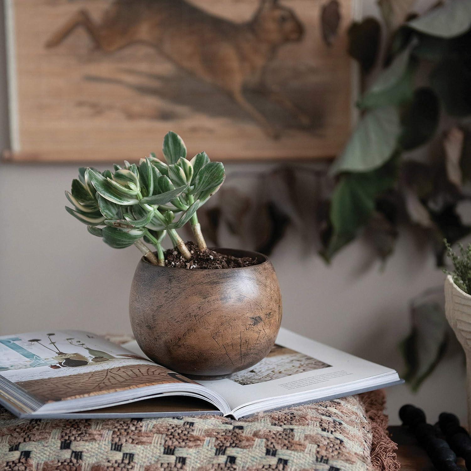 Creative Co-Op Mango Wood Bowl, Walnut Finish