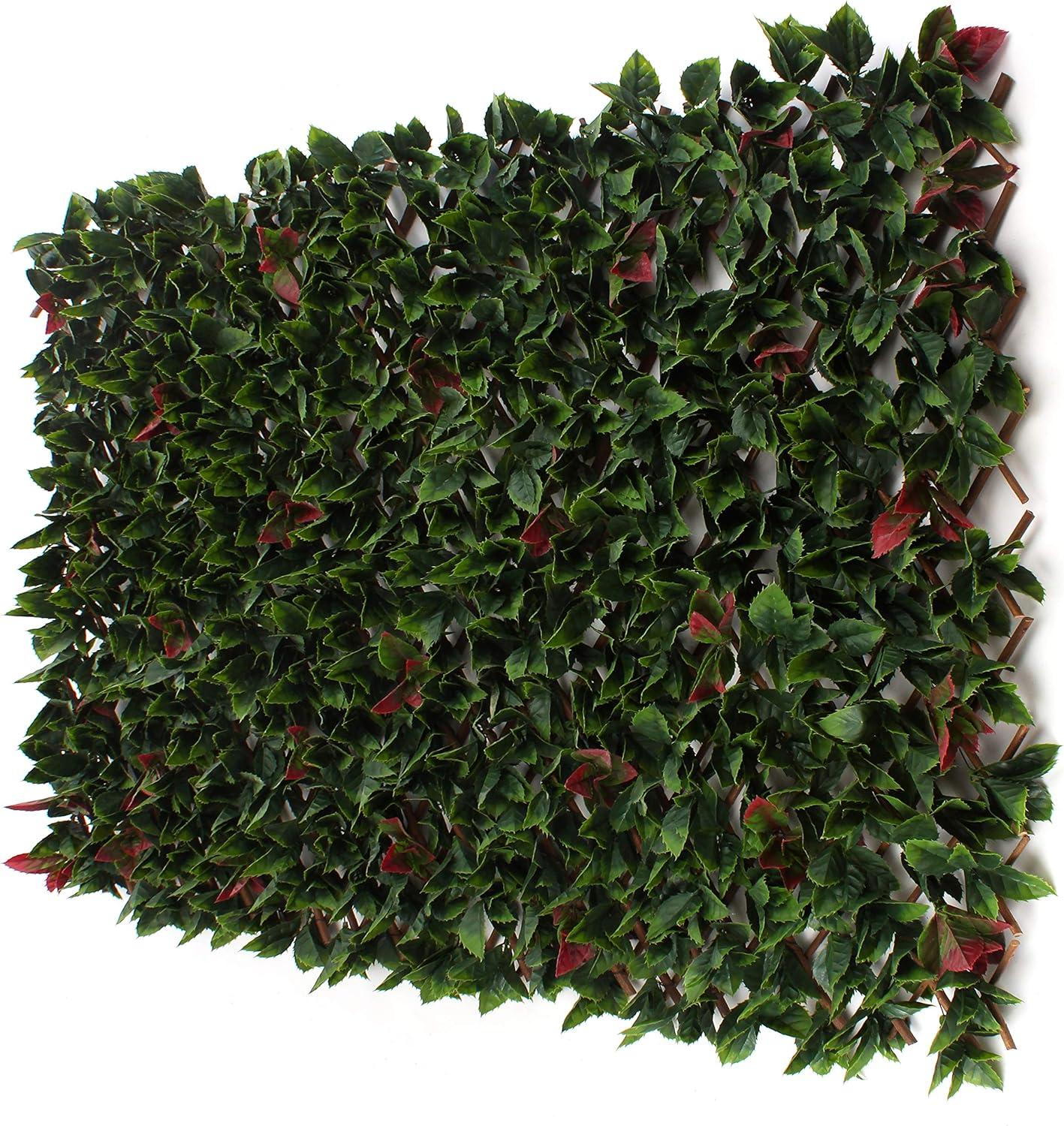 Red Tipped Photinia Bamboo Privacy Trellis Screen