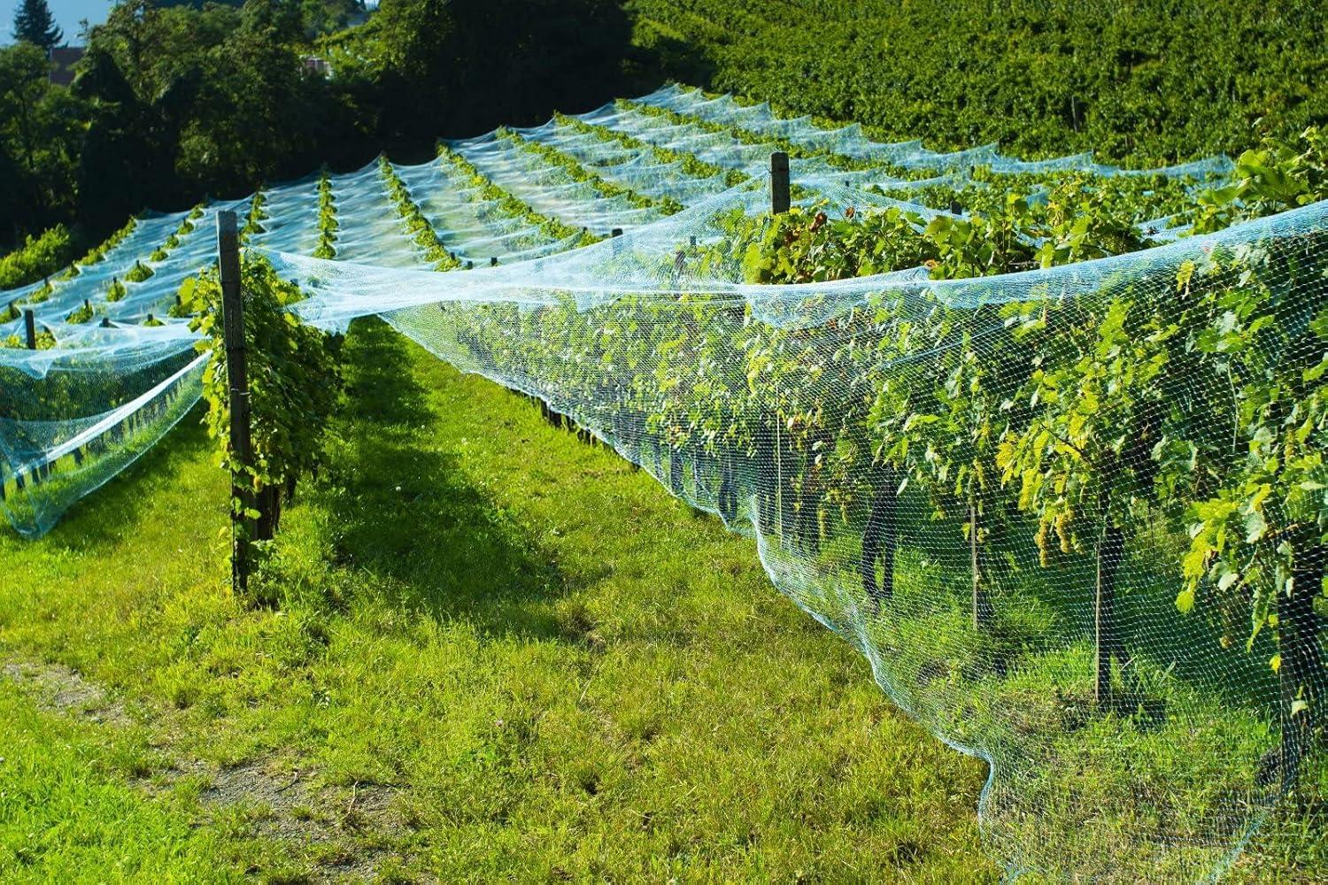 Green Rectangular Nylon Anti-Bird Garden Netting