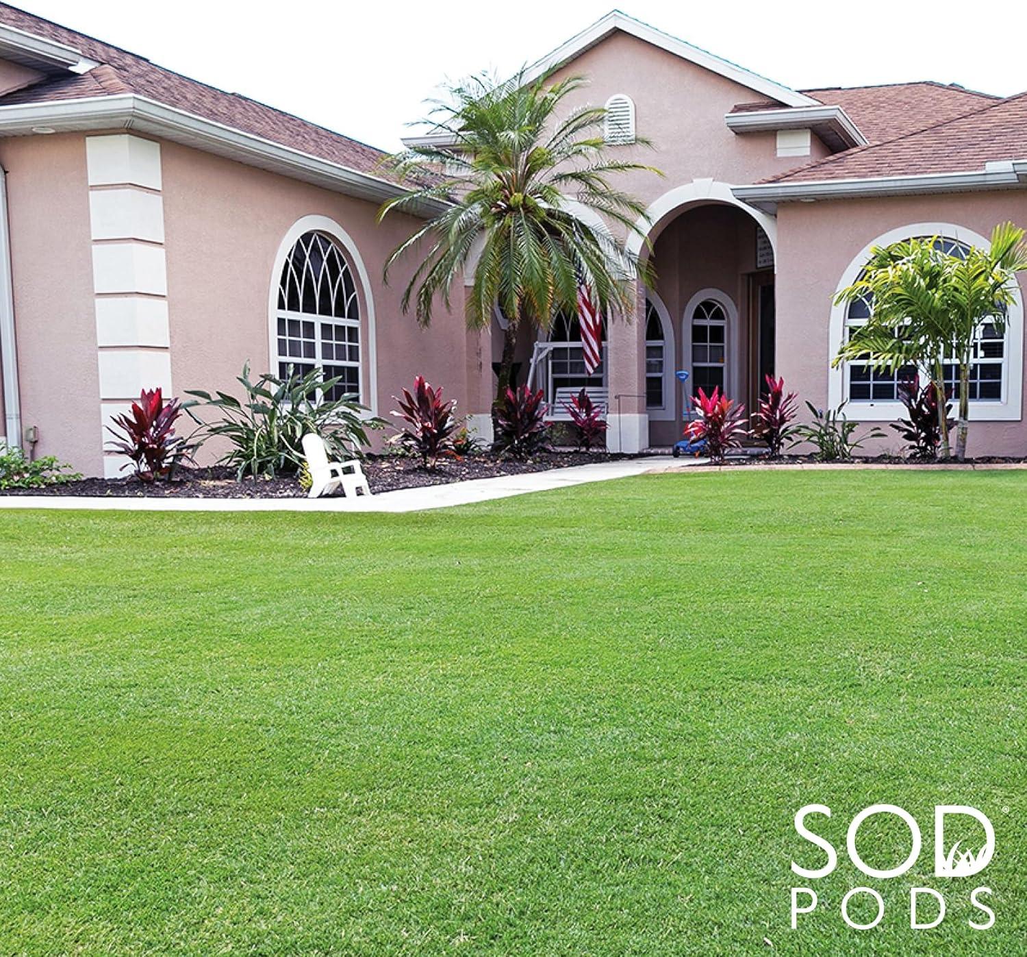 SodPods® Bermuda Grass Plugs (32-Count) Heat & Drought Tolerant Grass, Fast-Spreading, Durable Lawn Repair with Fully Developed Natural Roots – Cannot Ship to CA or AZ