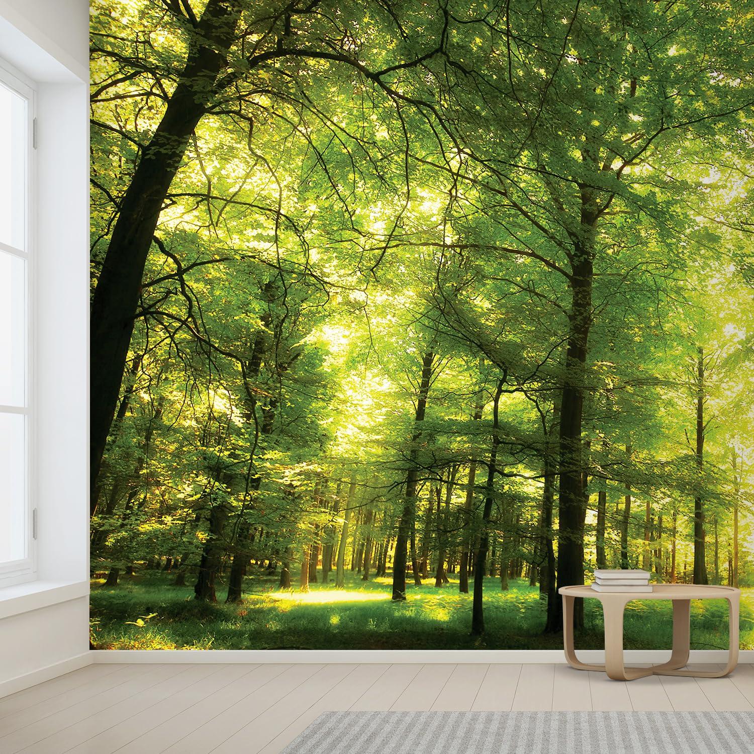 Morning Green Forest Border, Nature Landscape Wall Mural Modern Peel & Stick Wallpaper