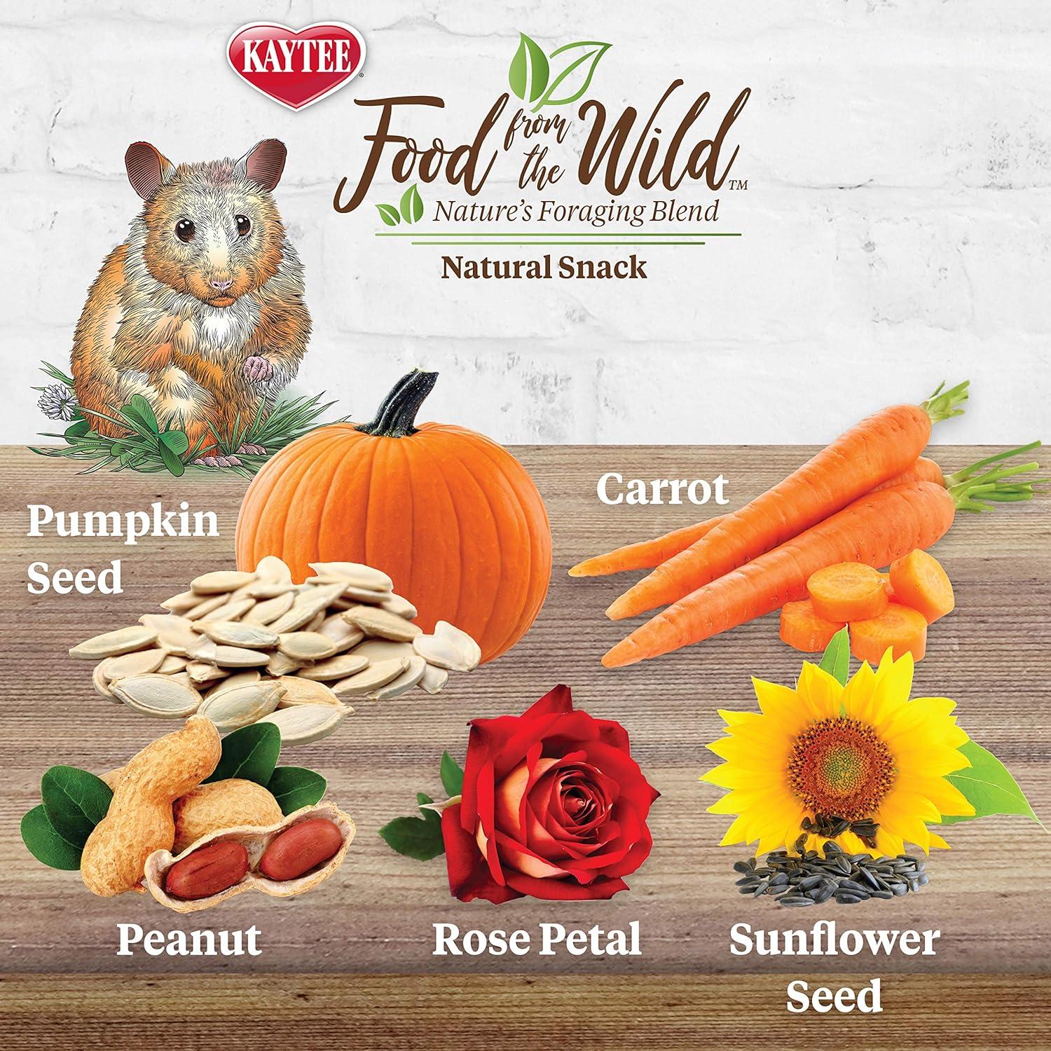 Kaytee Food From the Wild Natural Snack