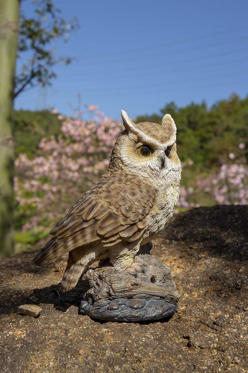 Motion Activated Singing Long-Eared Owlet Standing on Stump