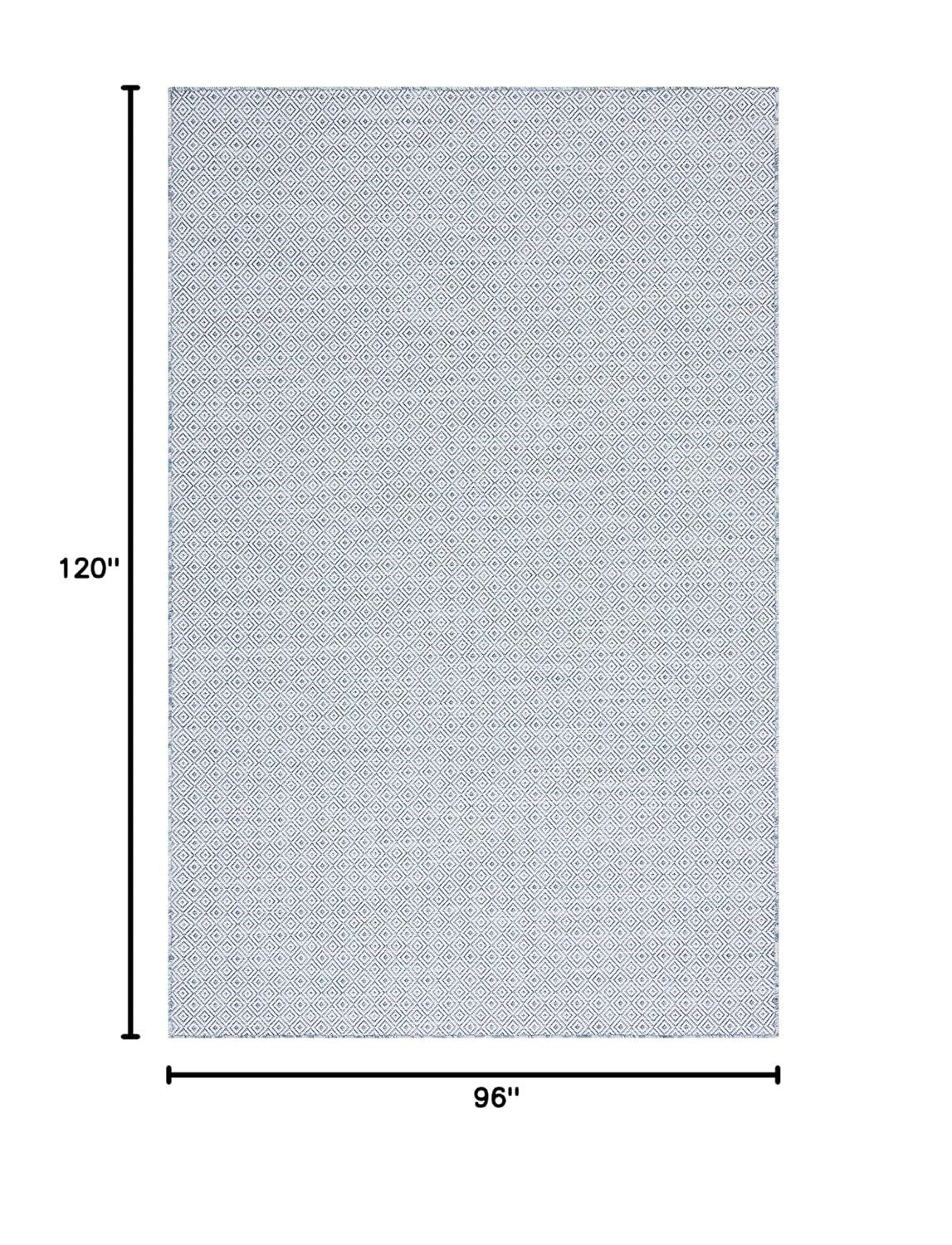 SAFAVIEH Hampton Ali Diamond Indoor/Outdoor Area Rug, Navy/Ivory, 8' x 10'