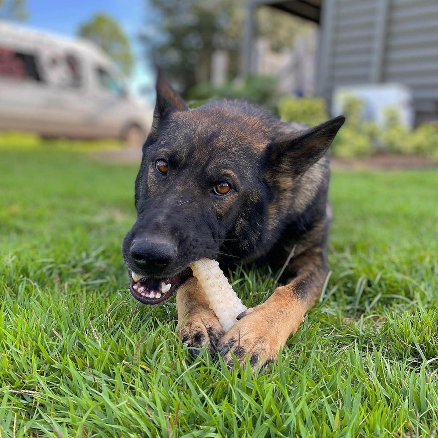 Nylabone Dura Chew Dog Bone - Original Flavor(Souper)