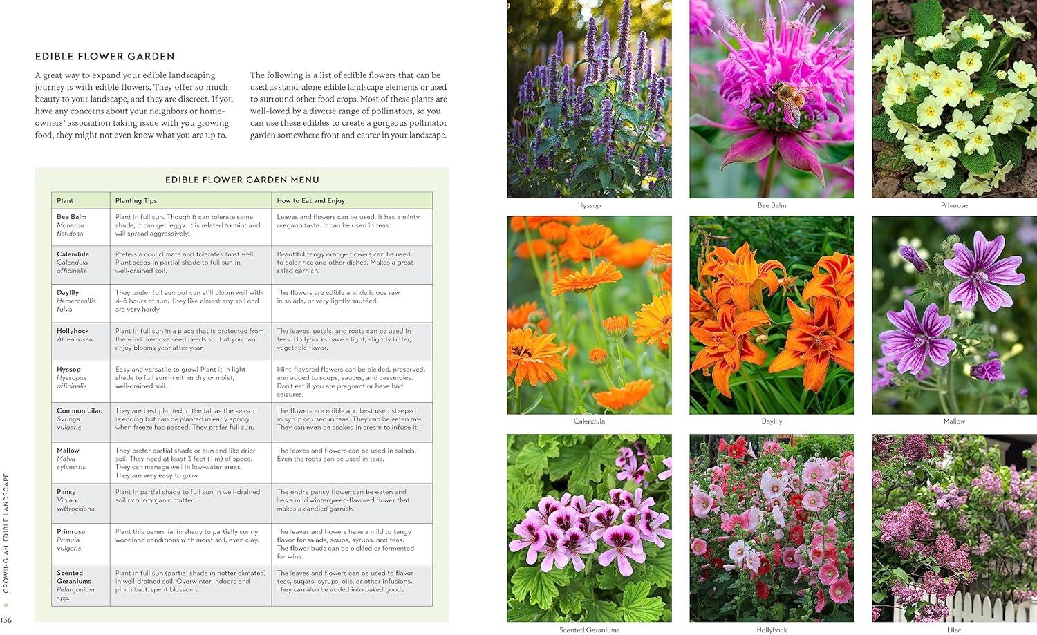 Growing an Edible Landscape: Transform Your Outdoor Space into a Food Garden