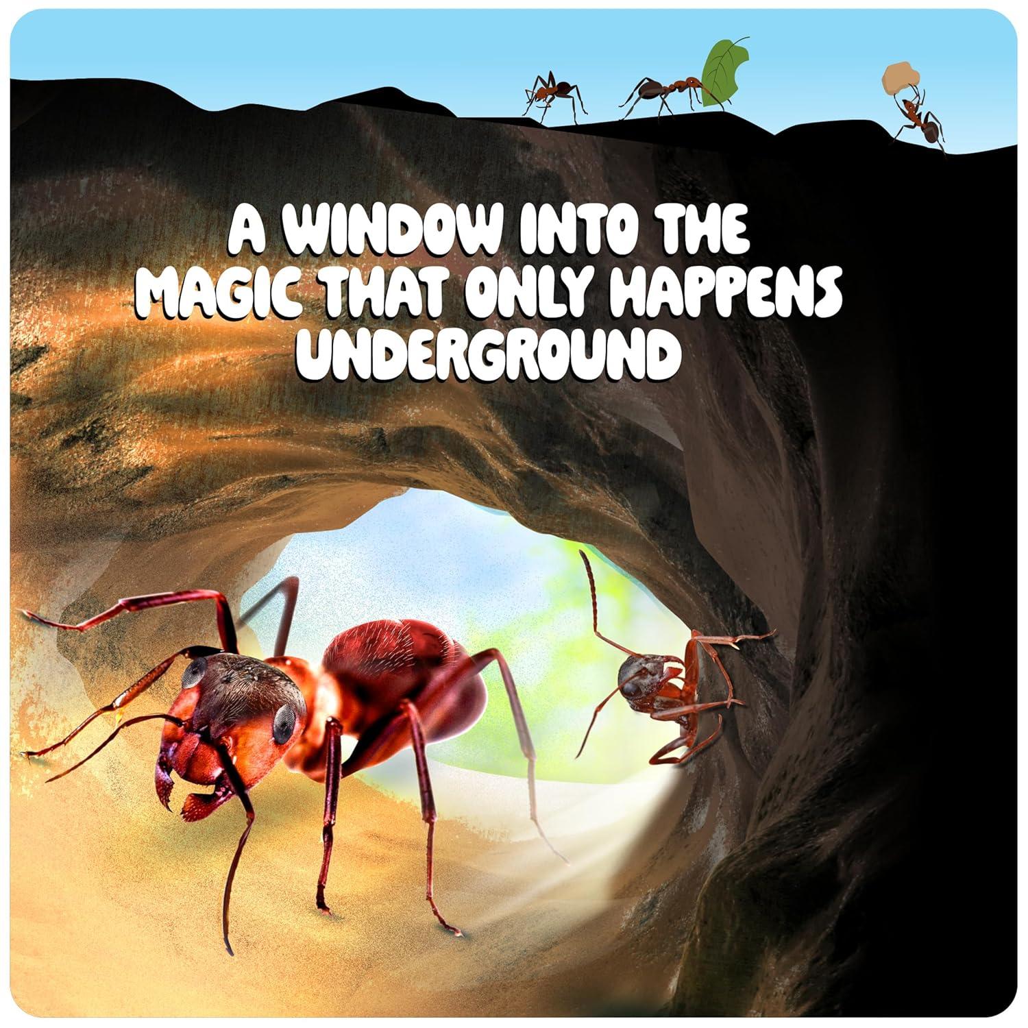 Ant Farm Kit for Kids - Ants Farms Colony - Includes Ant Voucher - Sand Habitat Kits - Bug Terrarium House - Educational Science Gifts for Kids - Nature Learning Toys for Boys, Girls & Adults