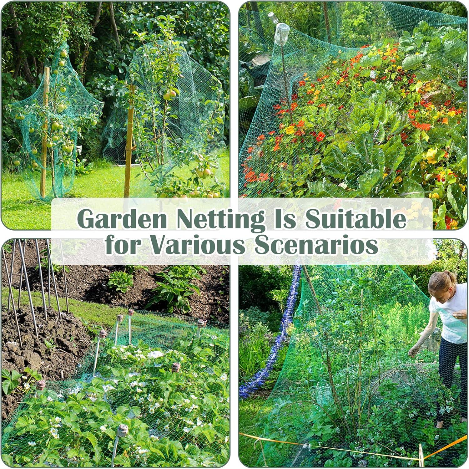 Green Rectangular Nylon Anti-Bird Garden Netting