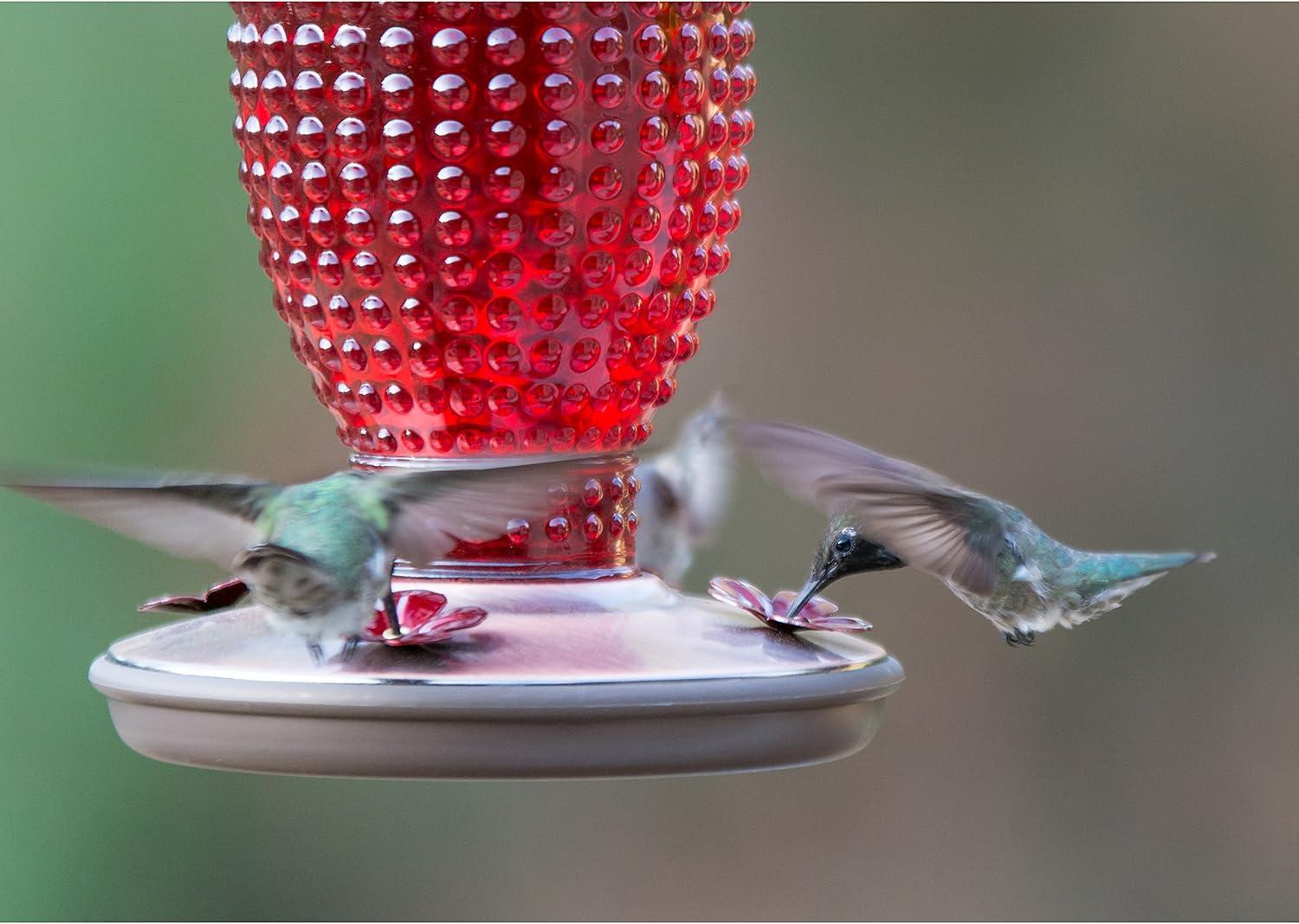 Red Hobnail Glass and Metal Hanging Hummingbird Feeder