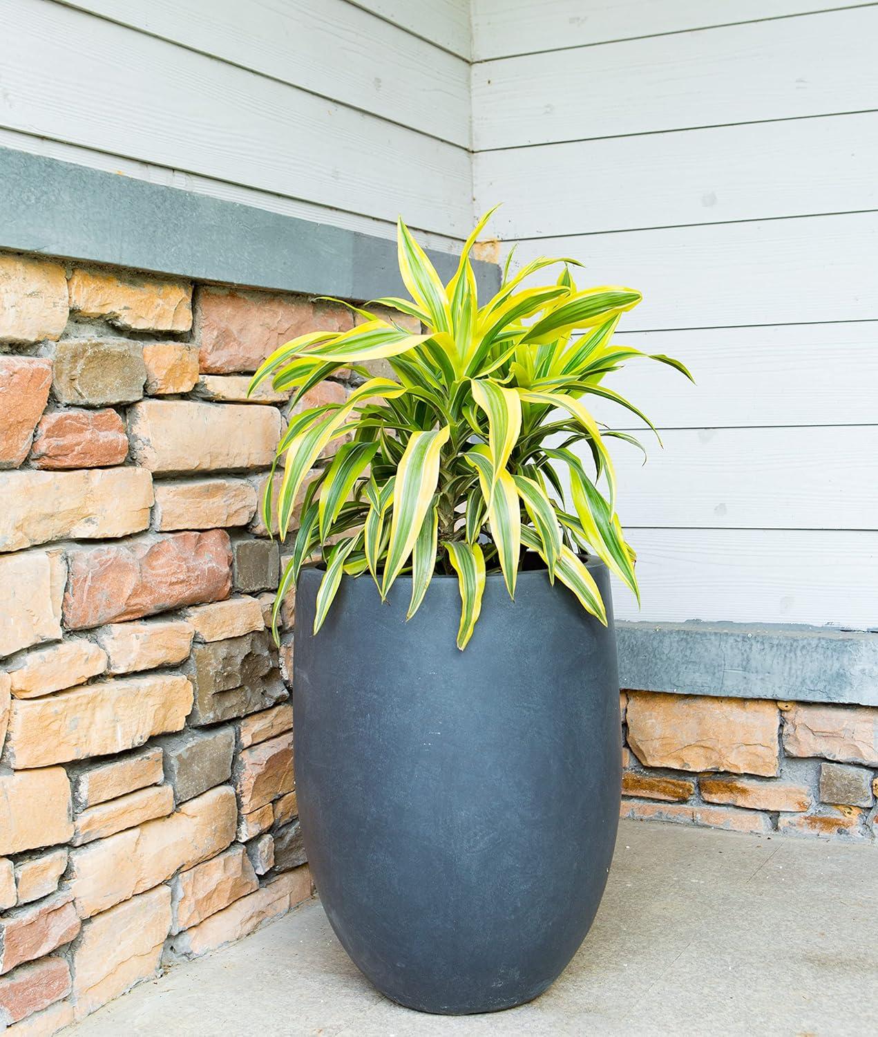 Rosemead Home & Garden, Inc. 17" Wide Kante Modern Concrete/Fiberglass Indoor Outdoor Planter Pot Charcoal Gray: Weather-Resistant