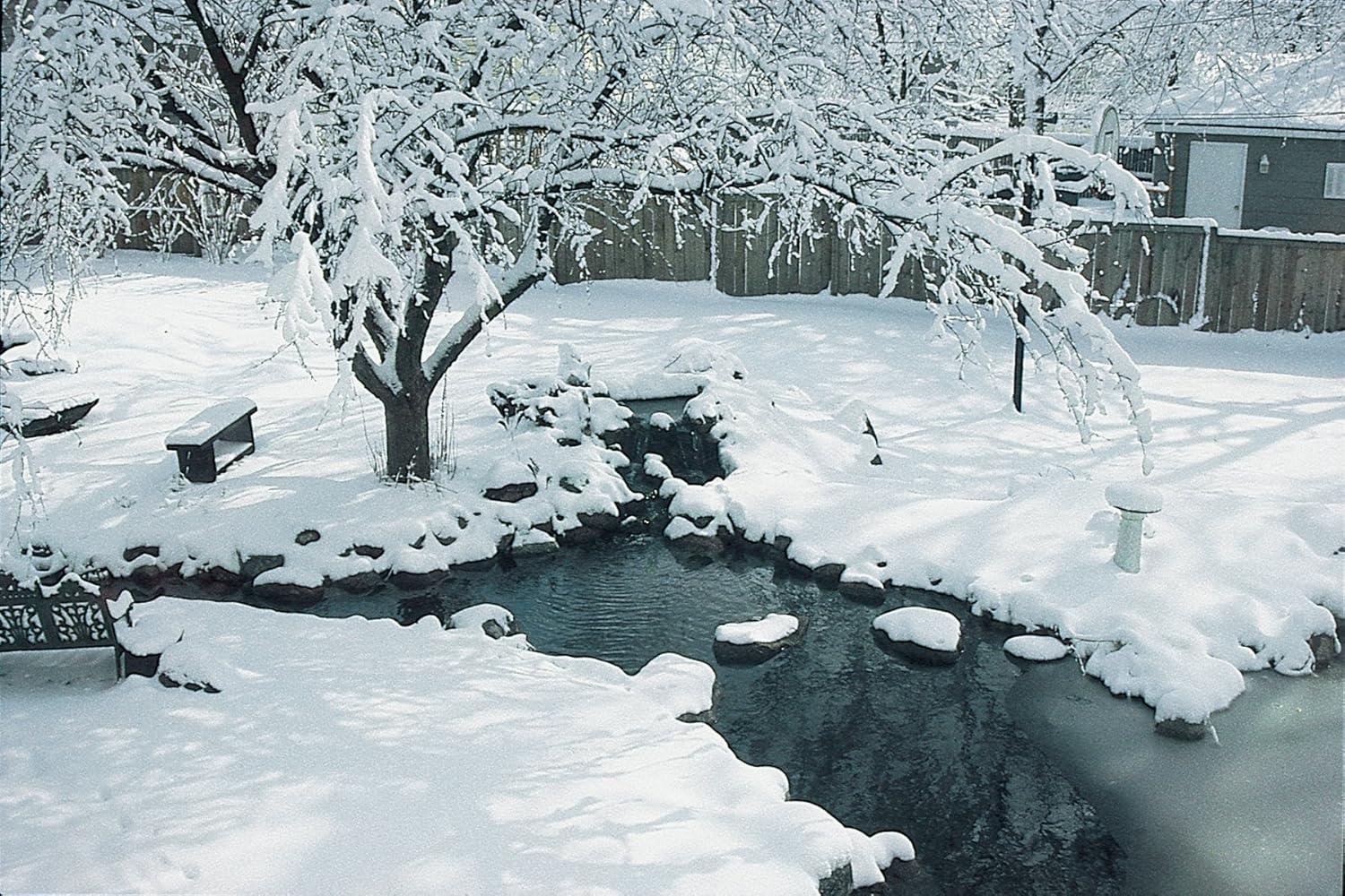 Aquascape 98894 Cold Water Beneficial Bacteria for Pond and Water Features, 32-Ounce