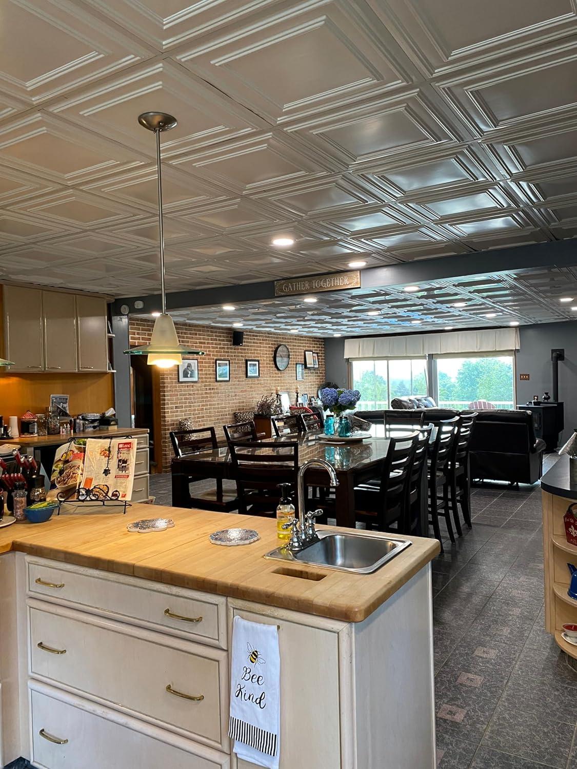 FromPlainToBeautifulInHours Economy Drop-In PVC Ceiling Tile (Set of 50)