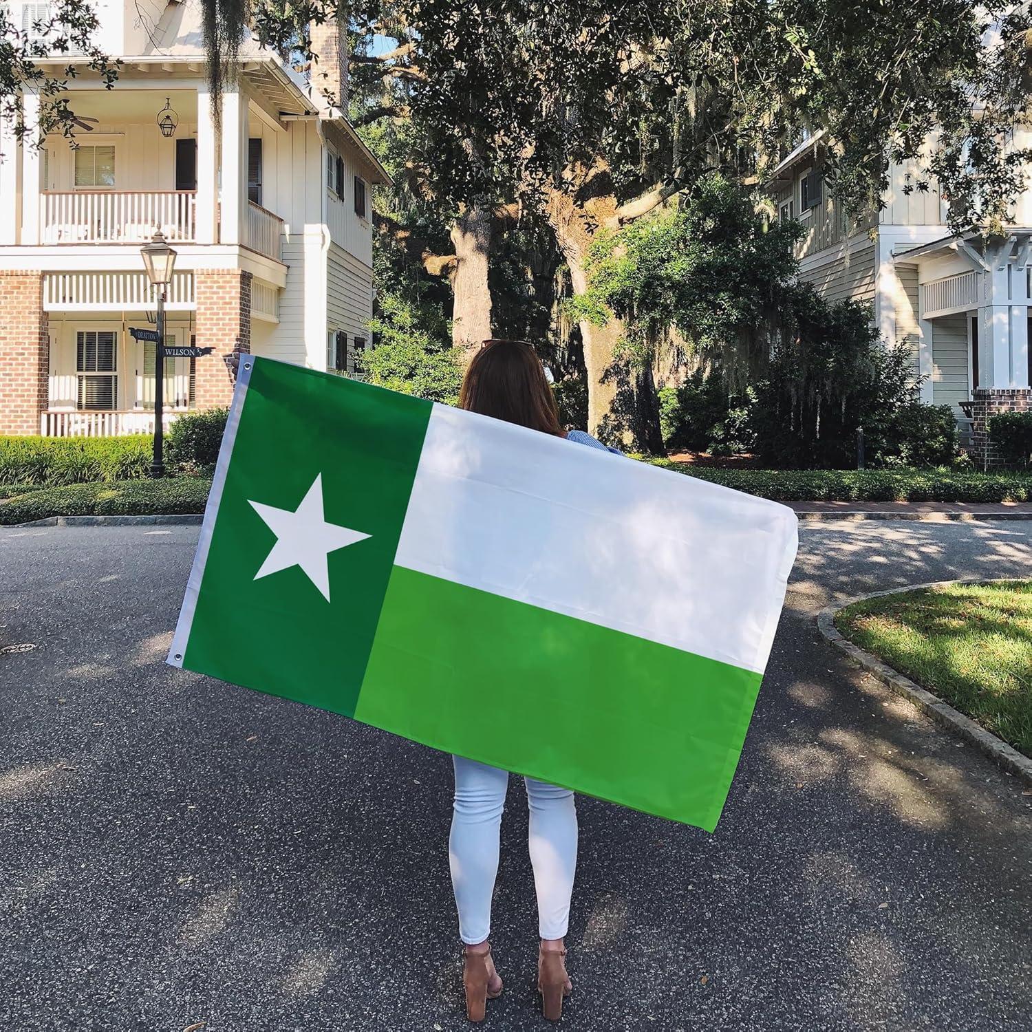 Desert Cactus University of North Texas Flag UNT Mean Green Flags Banners 100% Polyester Indoor Outdoor 3x5 (Green Texas Flag)