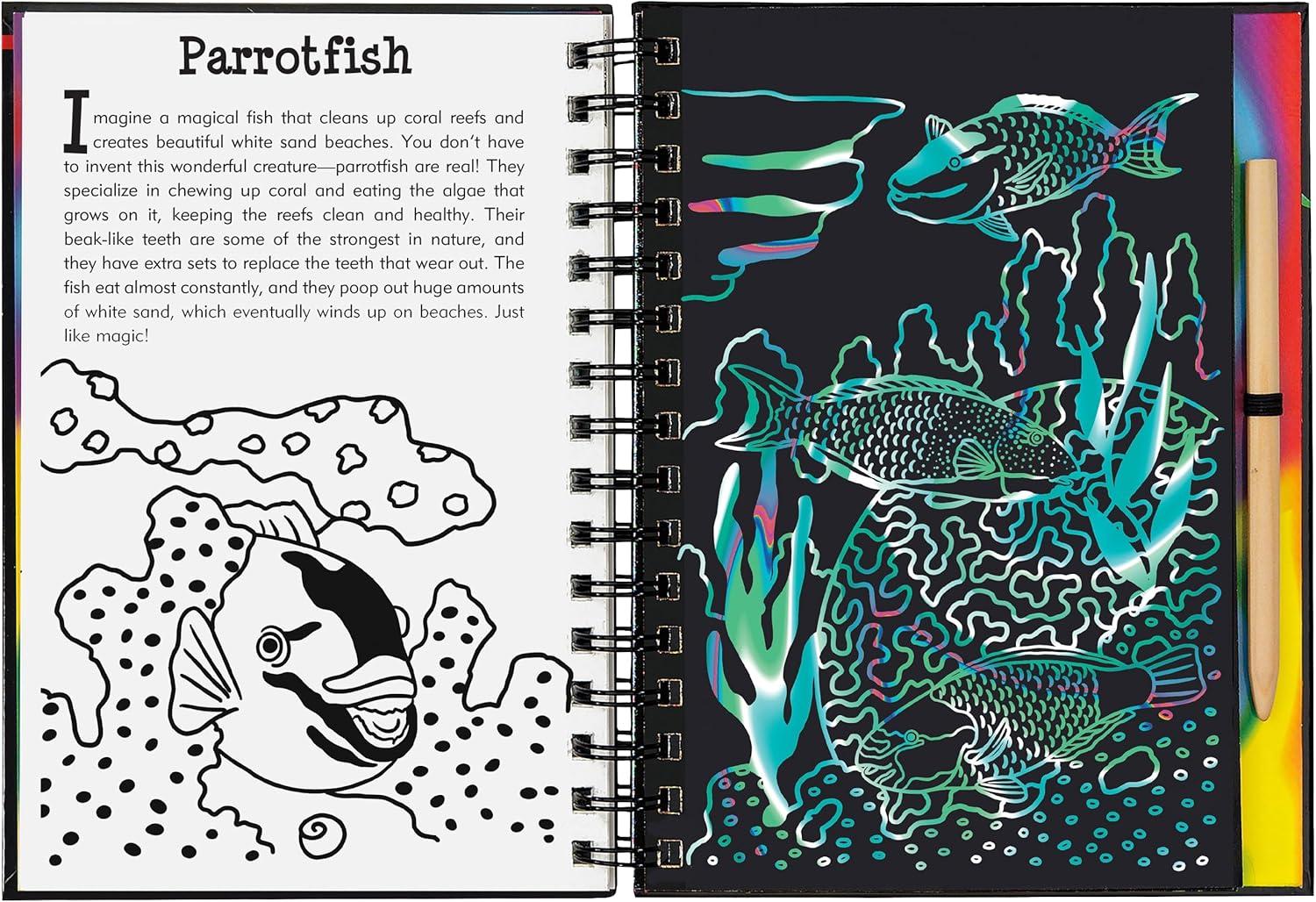 Scratch and Sketch Trace-Along Scratch & Sketch Coral Reefs, (Hardcover)