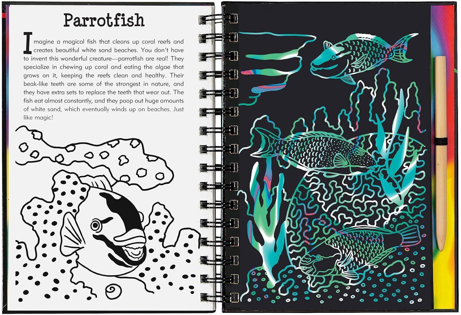 Scratch and Sketch Trace-Along Scratch & Sketch Coral Reefs, (Hardcover)