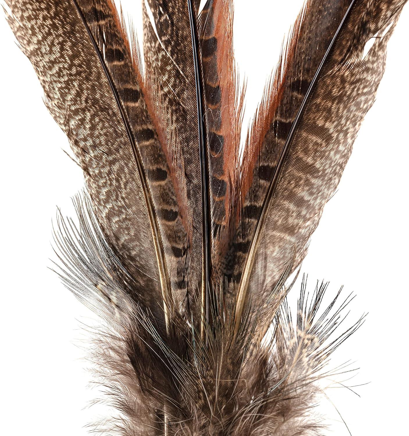 Pheasant Feather Picks by Ashland®