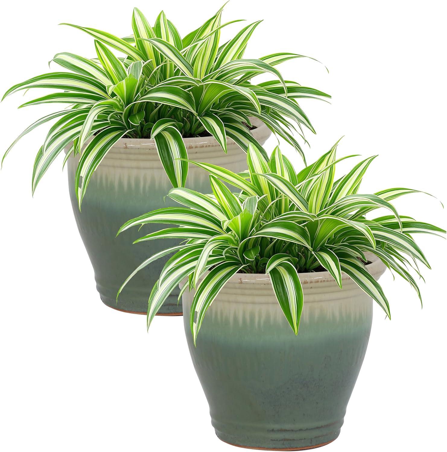 Sunnydaze Studio Outdoor/Indoor High-Fired Glazed UV- and Frost-Resistant Ceramic Planters with Drainage Holes - 11" Diameter - Seafoam - 2-Pack