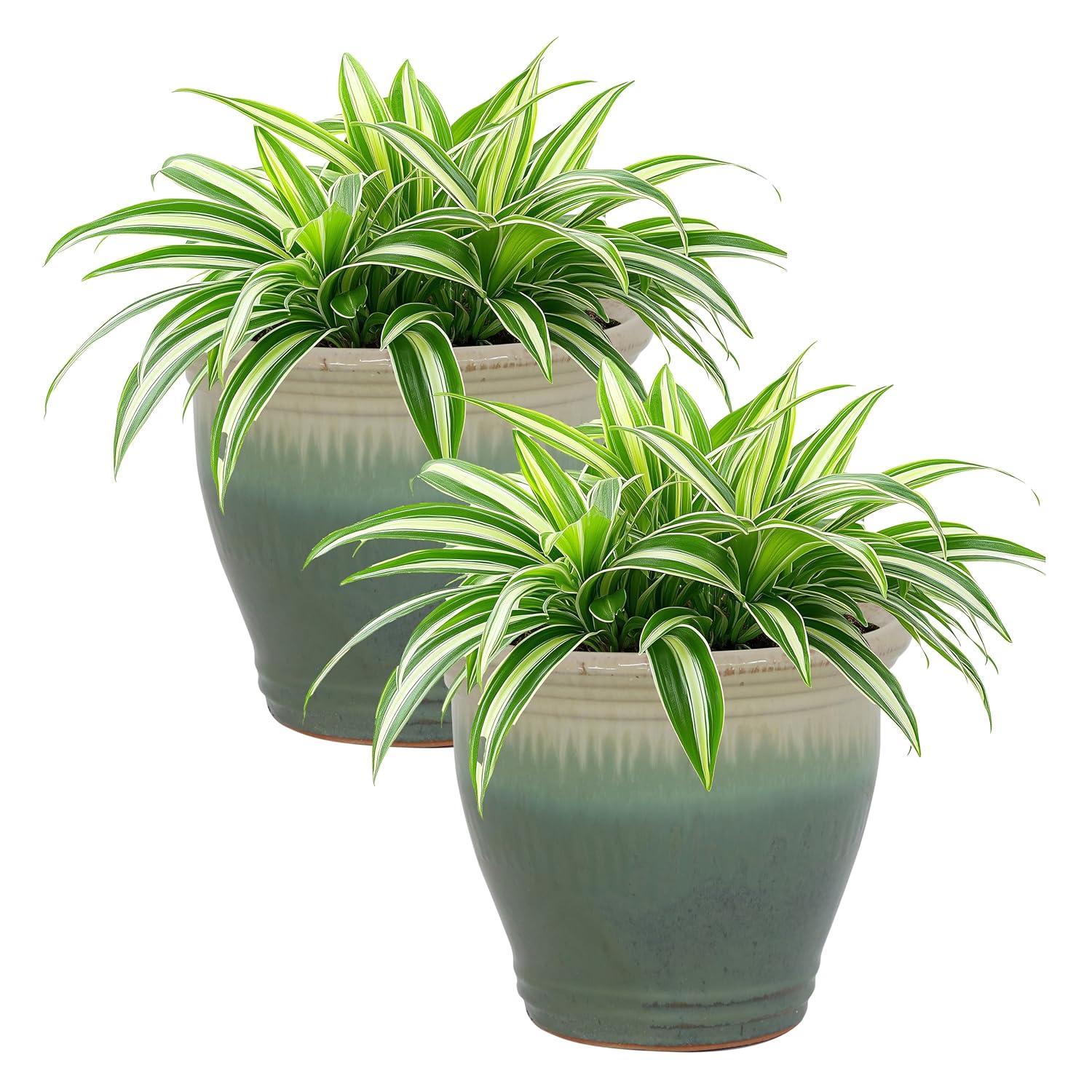 Sunnydaze Studio Outdoor/Indoor High-Fired Glazed UV- and Frost-Resistant Ceramic Planters with Drainage Holes - 11" Diameter - Seafoam - 2-Pack