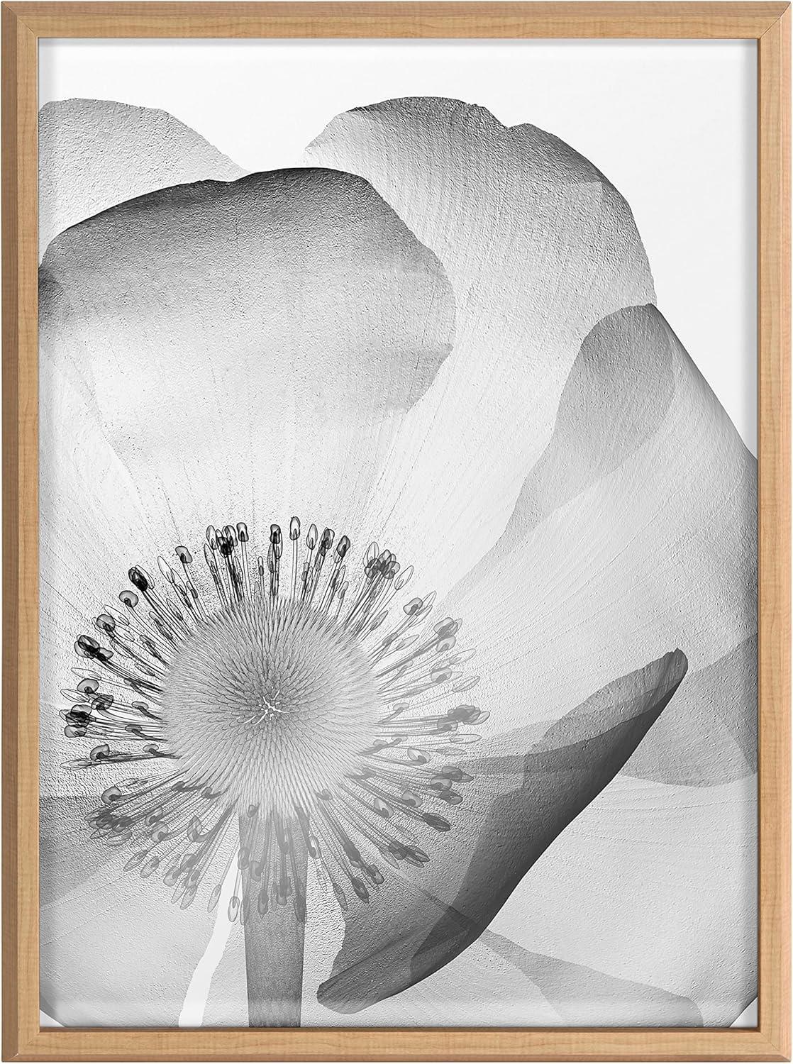 Kate and Laurel Blake Poppy X Ray Floral 2 BW Framed Printed Glass Wall Art by The Creative Bunch Studio, 18x24 Natural, Decorative Modern Flower Art Print for Wall