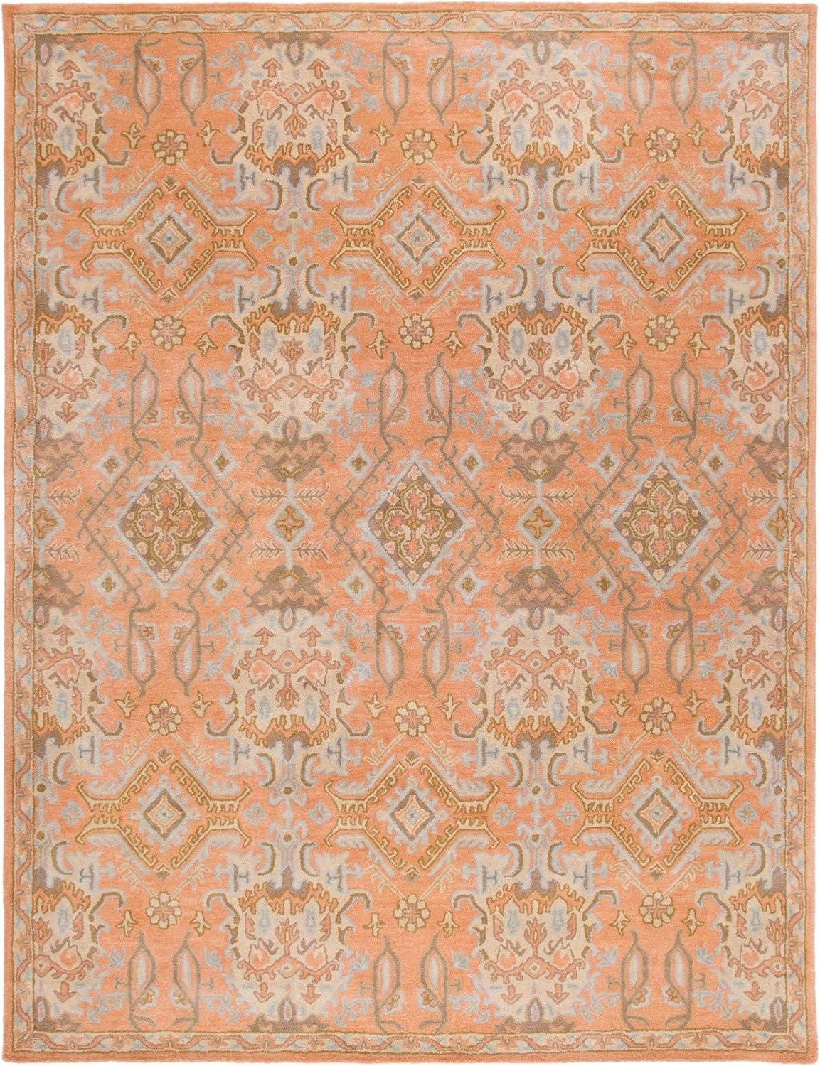 Wyndham WYD203 Hand Tufted Area Rug  - Safavieh