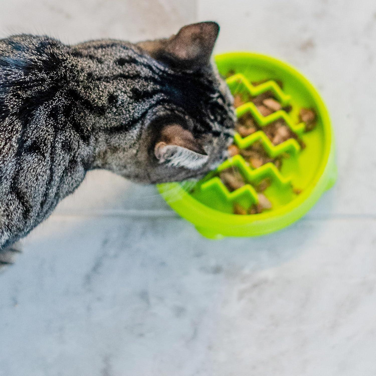 Green Plastic Kitty Slow Feeder Cat Bowl with Maze