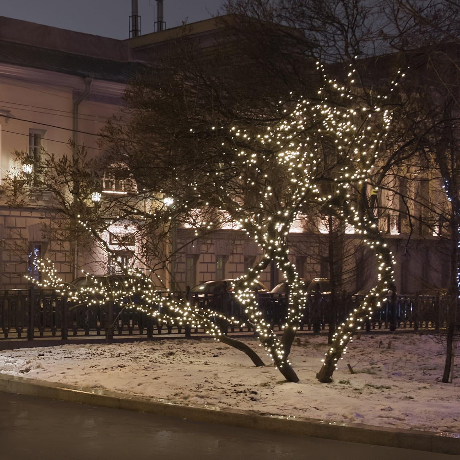 Solar Powered Mini String Lights with 50 Soft White Bulbs