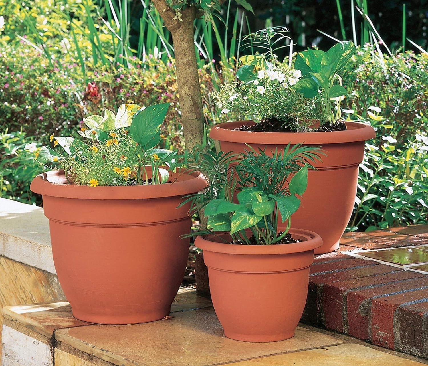 Pot Planter