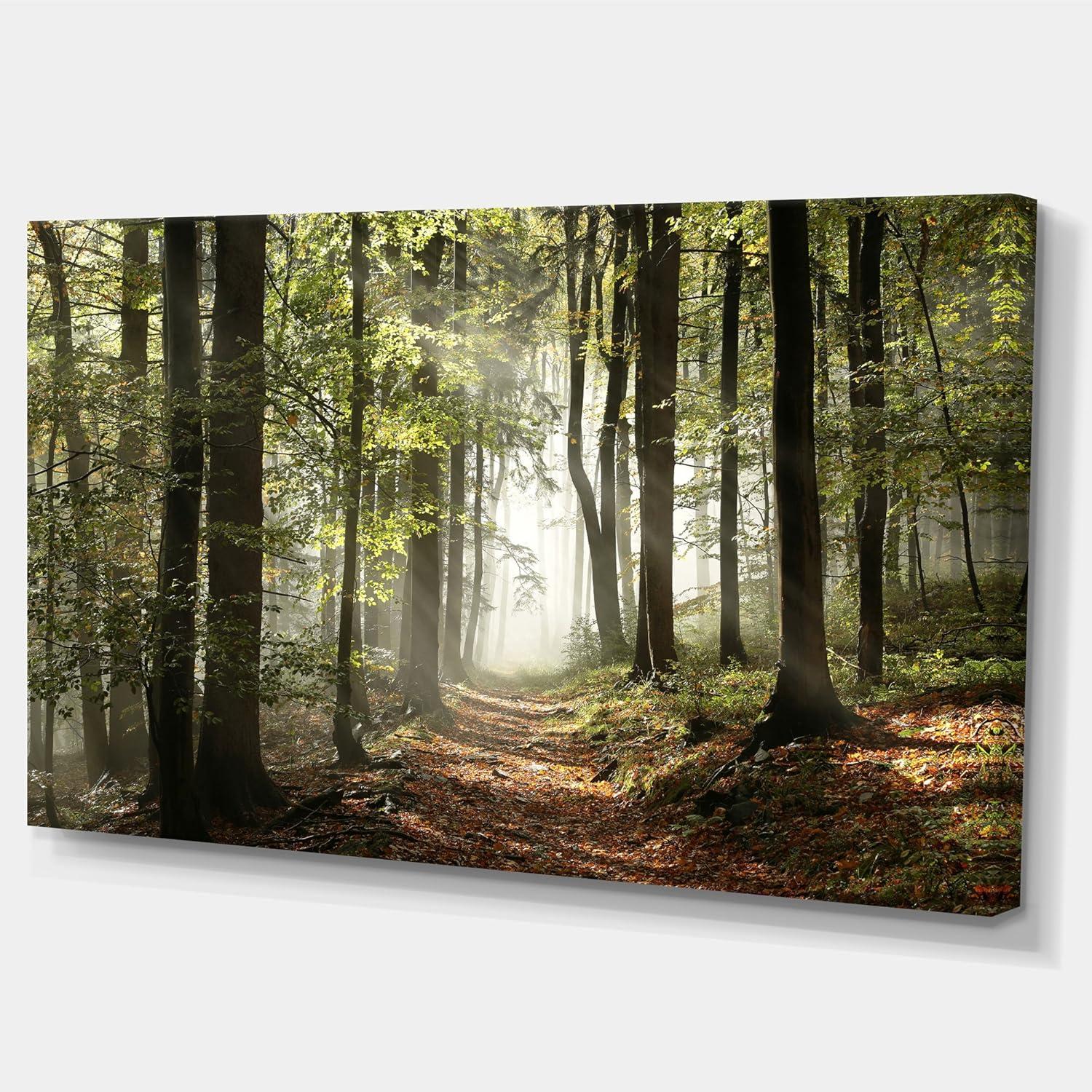 Green Fall Forest with Sun Rays Landscape Canvas Print