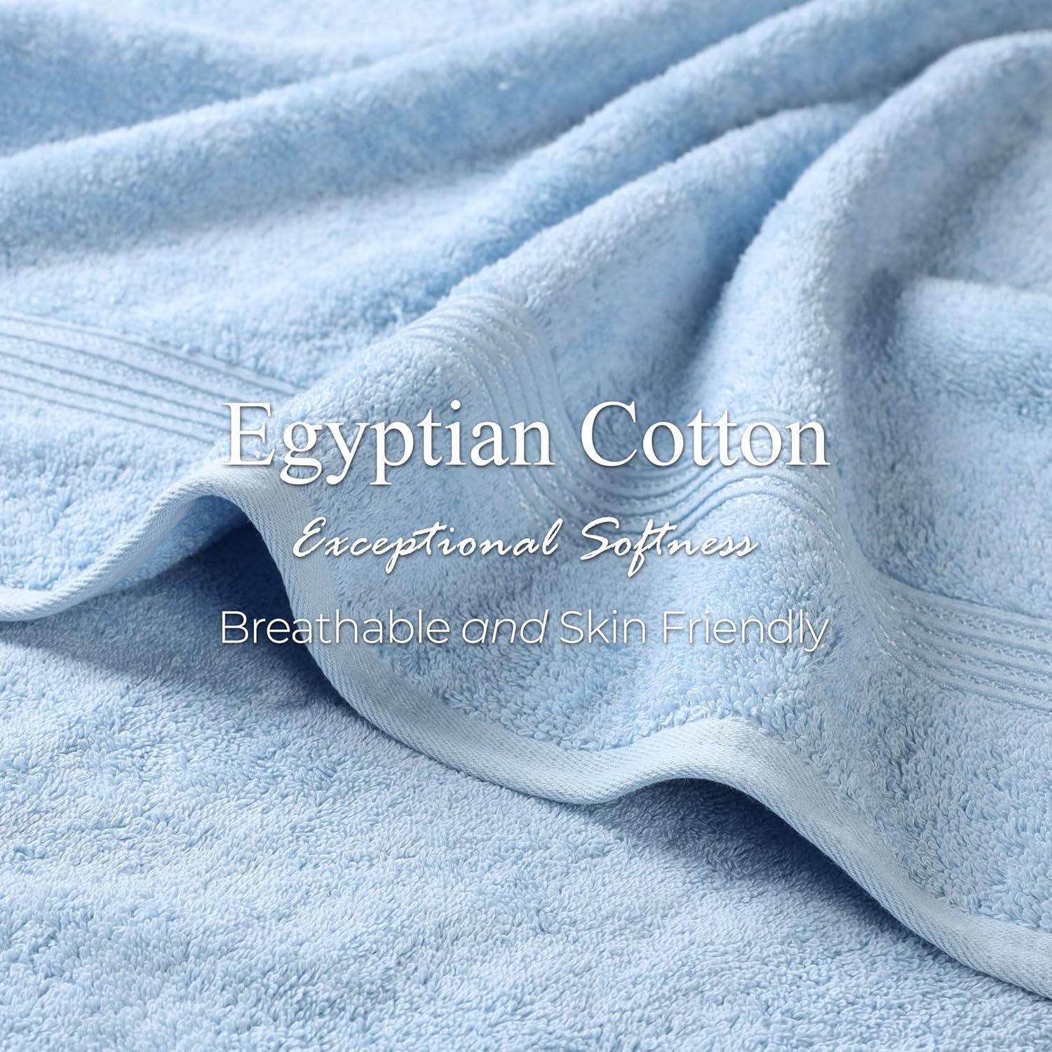 Superior Heritage Certified Egyptian Cotton Plush Absorbent Luxury Bath Towel (Set of 2)