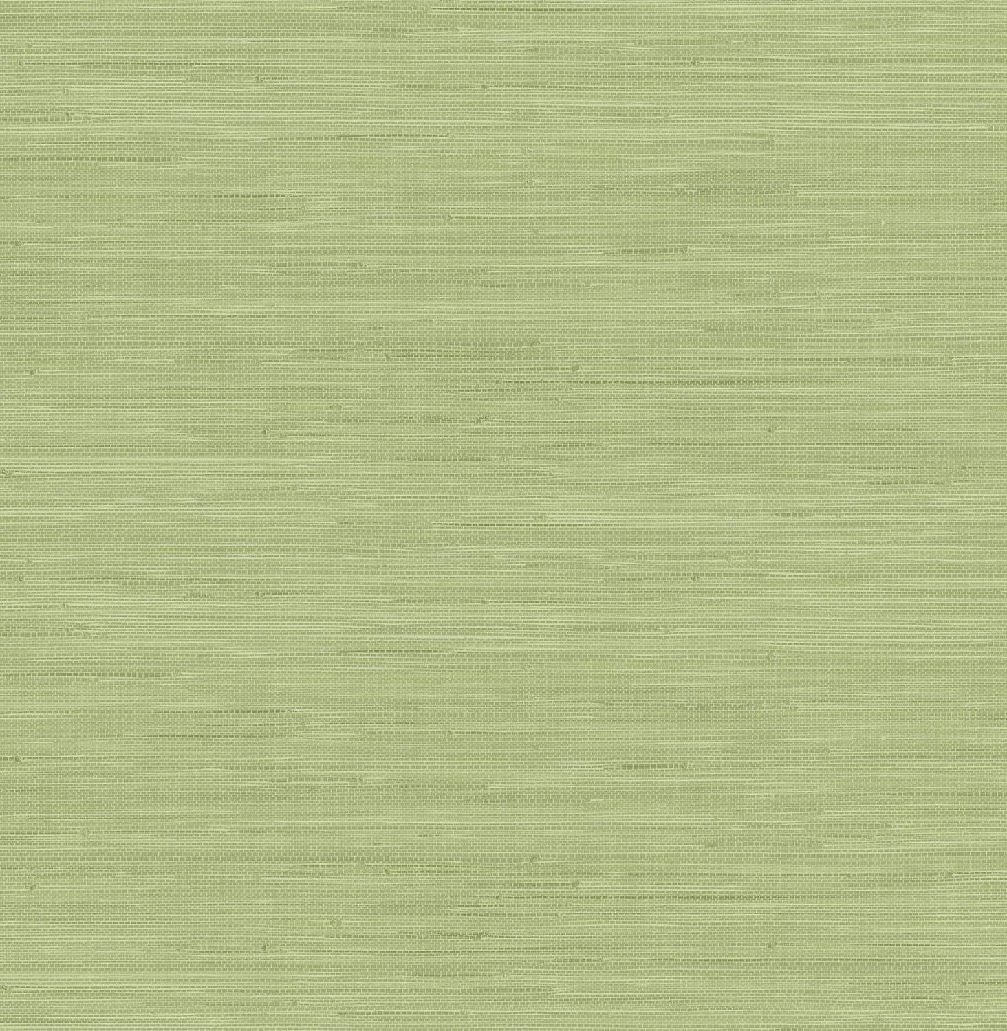 18 ft x 20.5 in x 0.025 in Grasscloth Peel and Stick Wallpaper Roll
