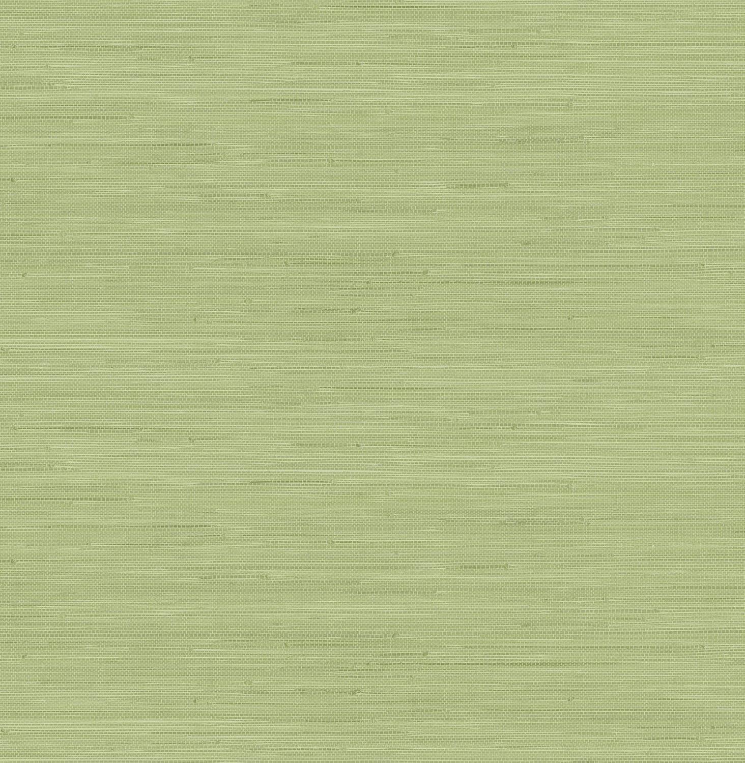 18 ft x 20.5 in x 0.025 in Grasscloth Peel and Stick Wallpaper Roll