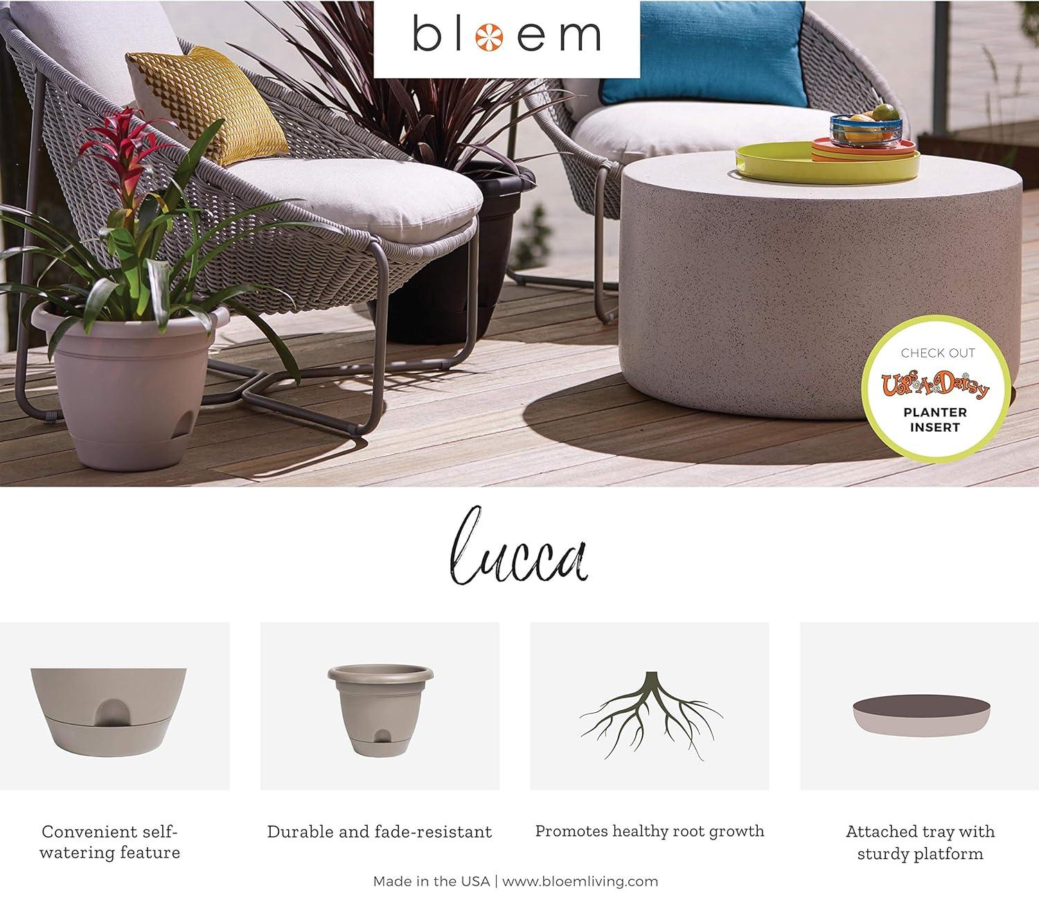 Bloem LP0642, Living Green, 6-Inch LP0842 Lucca Planter