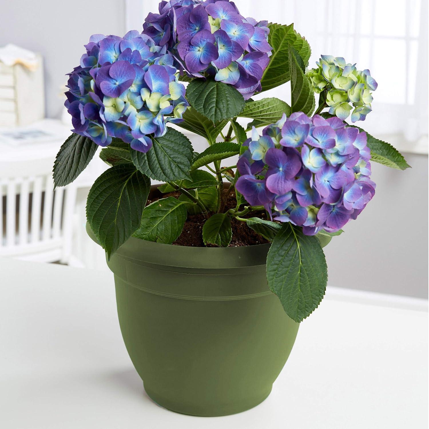 Bloem Ariana Traditional Self-Watering Indoor/Outdoor Pot Planter