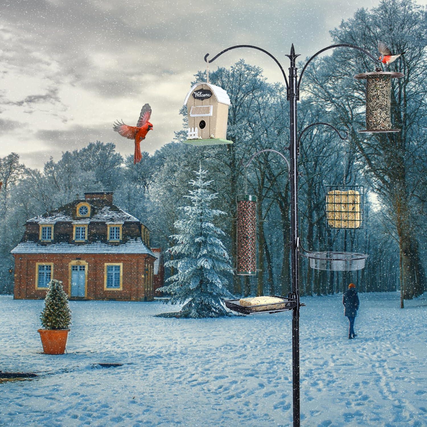 Ashman Online Deluxe Rustproof Bird Feeding Station with Suet Cage, Water Dish, Hanging Kit, Black