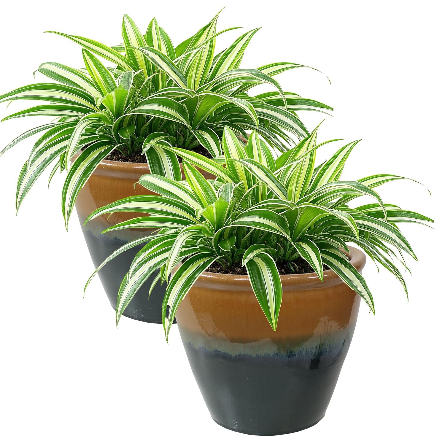 Sunnydaze Studio Outdoor/Indoor High-Fired Glazed UV- and Frost-Resistant Ceramic Planters with Drainage Holes - 11" Diameter - Seafoam - 2-Pack