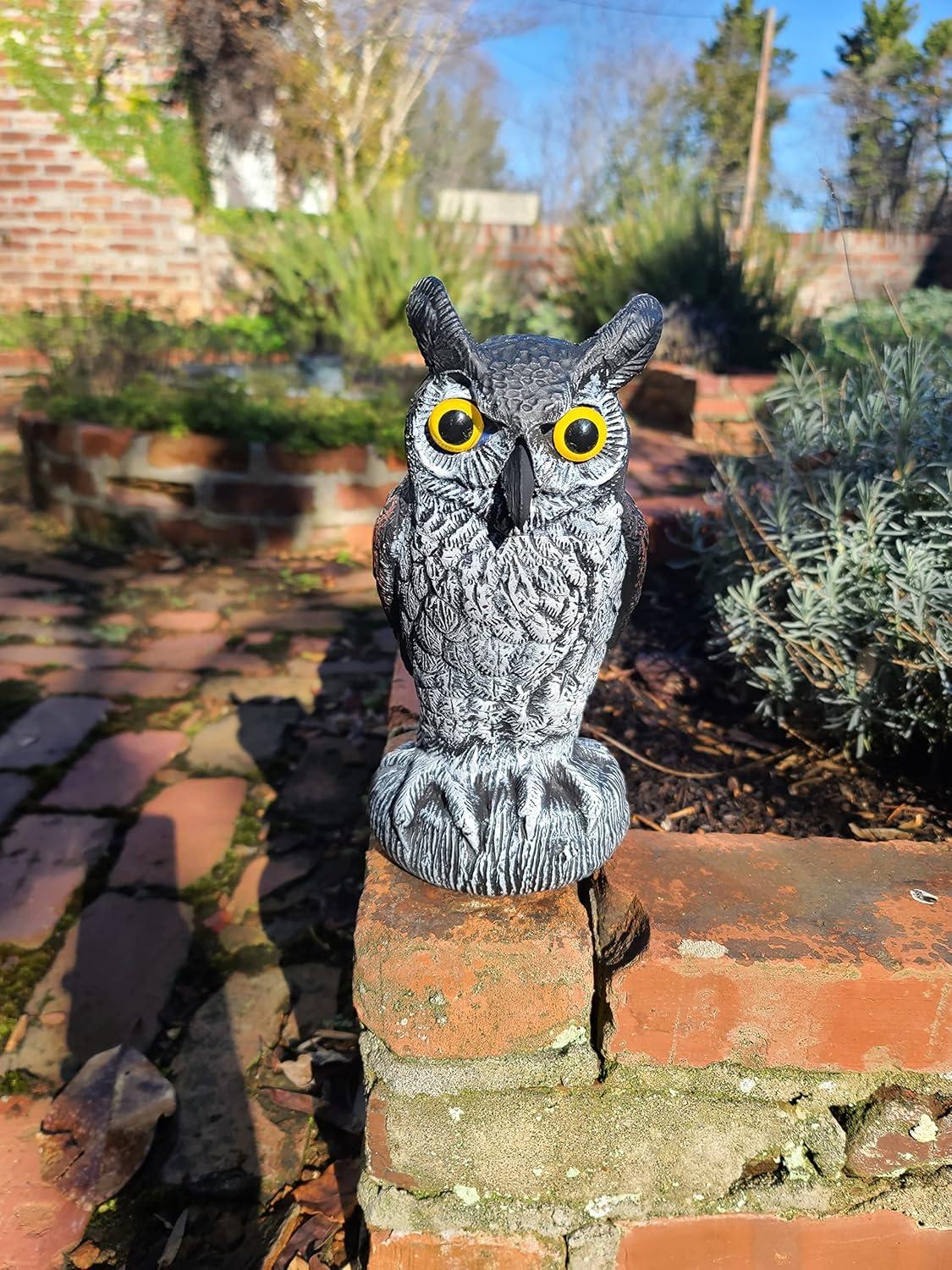 Dalen Natural Enemy Great Horned Owl Scarecrow Decoy, Realistic Hand-Painted Design