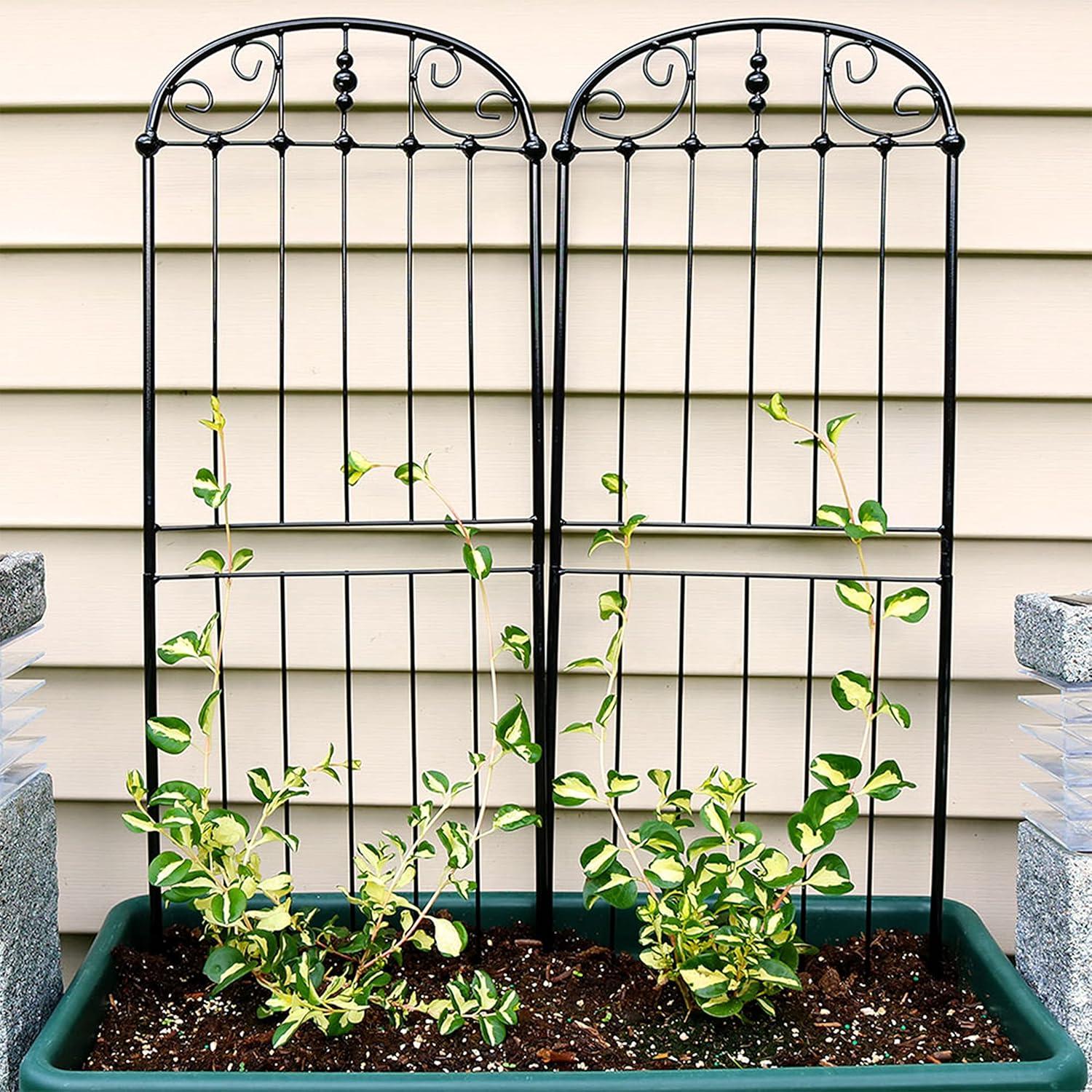 Sunnydaze Metal Wire Traditional Garden Trellis for Climbing Plants and Flowers - 32" H - Black - 2-Pack