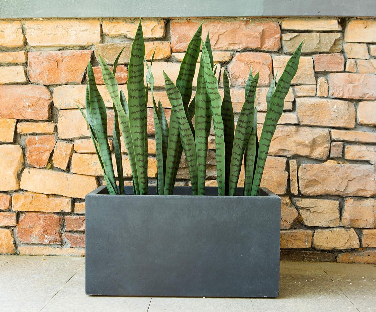 Rosemead Home & Garden, Inc. 12" Wide Kante Elegant Rectangular Concrete/Fiberglass Indoor Outdoor Planter Box Charcoal Gray