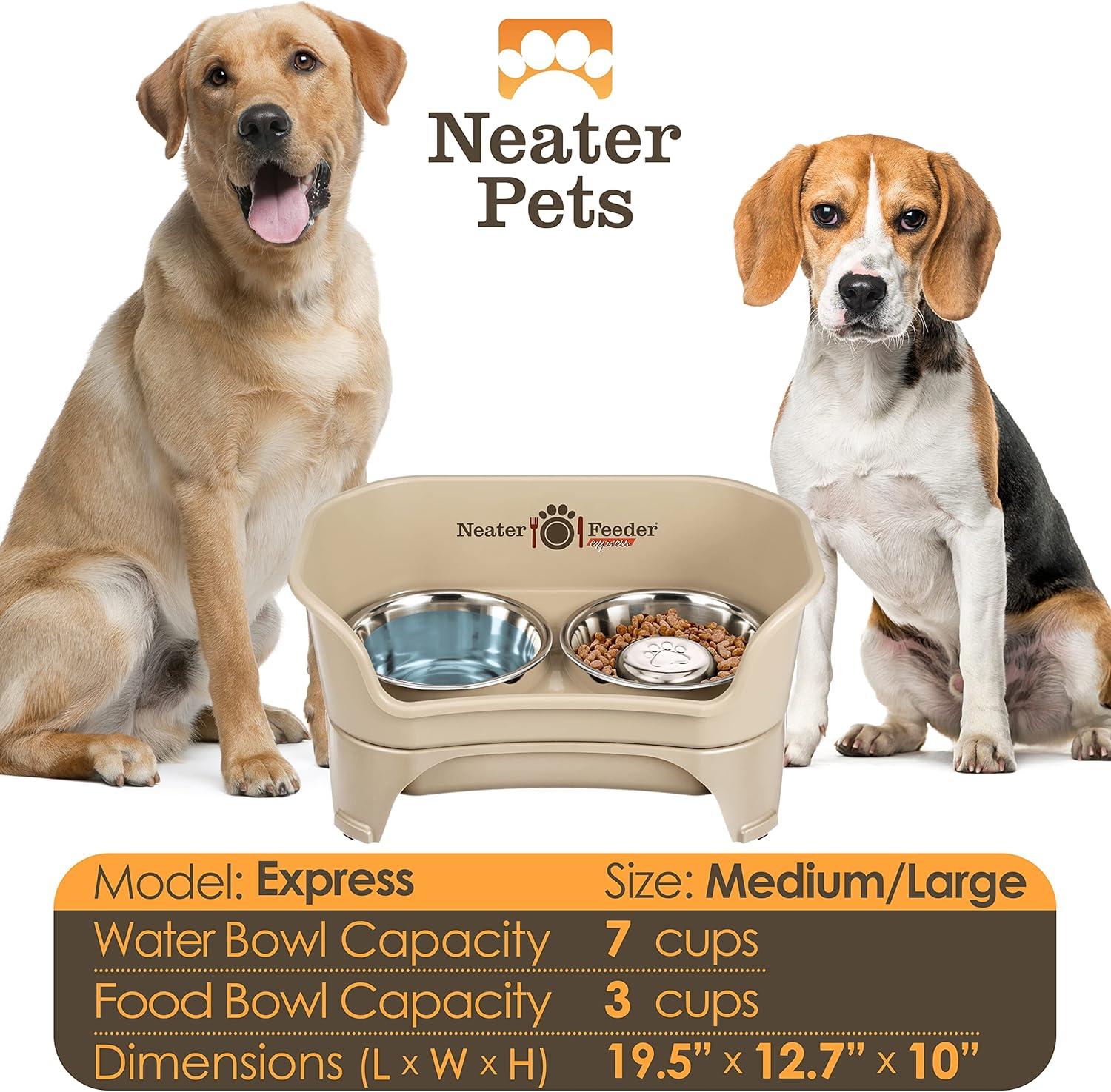 Almond Elevated Stainless Steel Pet Feeder with Slow Feed Bowl