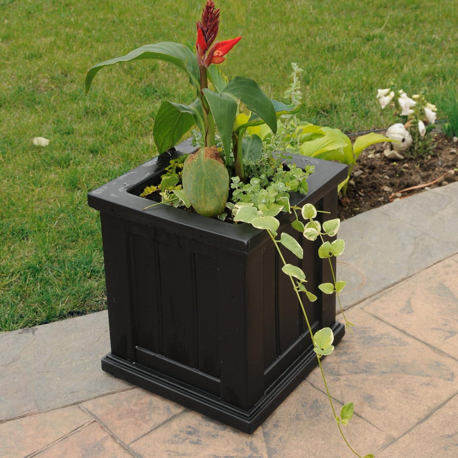 Cape Cod Black Polyethylene Self-Watering Outdoor Planter