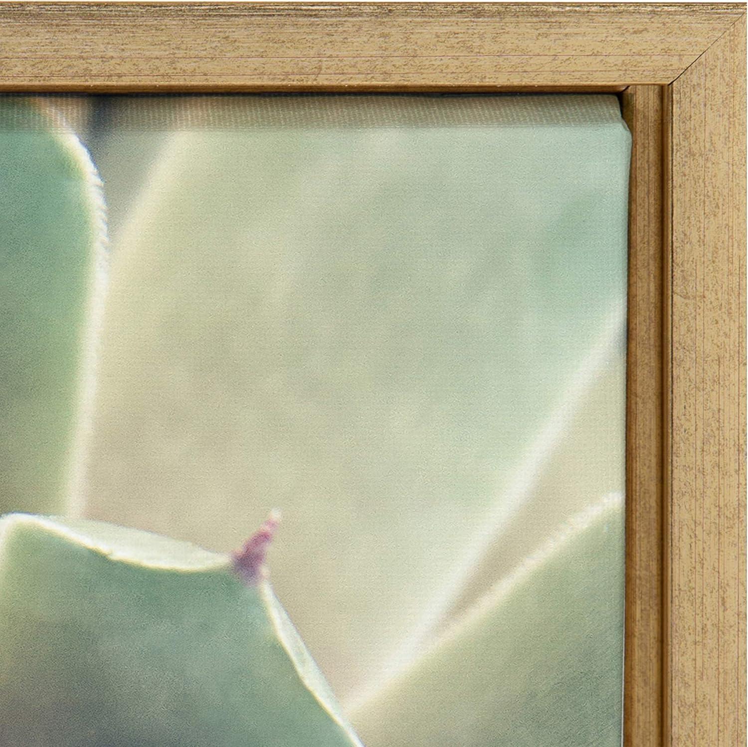 Kate and Laurel Sylvie Succulent 1 Color Photograph Framed Canvas Wall Art by F2 Images, 18x24 Gold