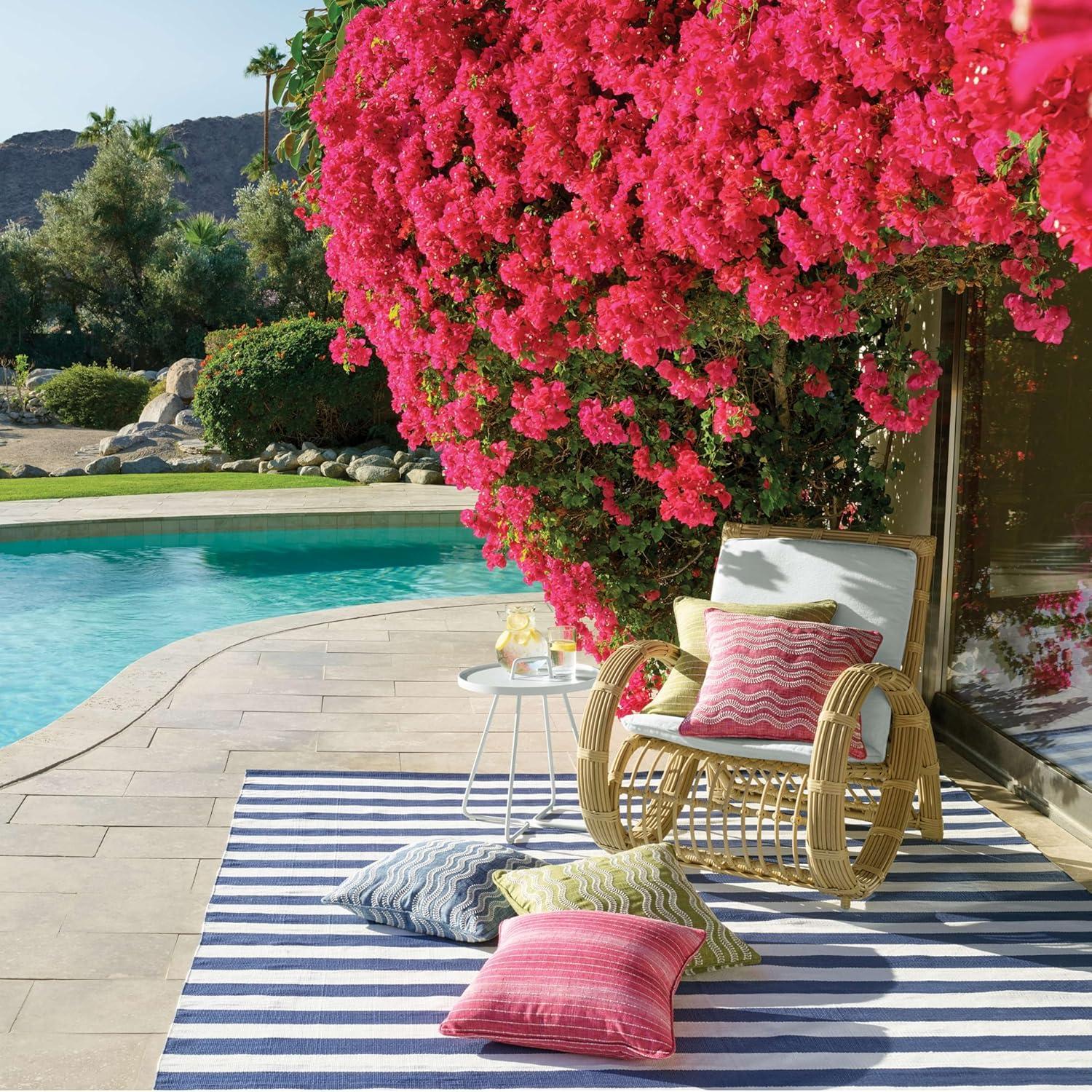 Catamaran Stripe Denim/White Handwoven Indoor/Outdoor Rug