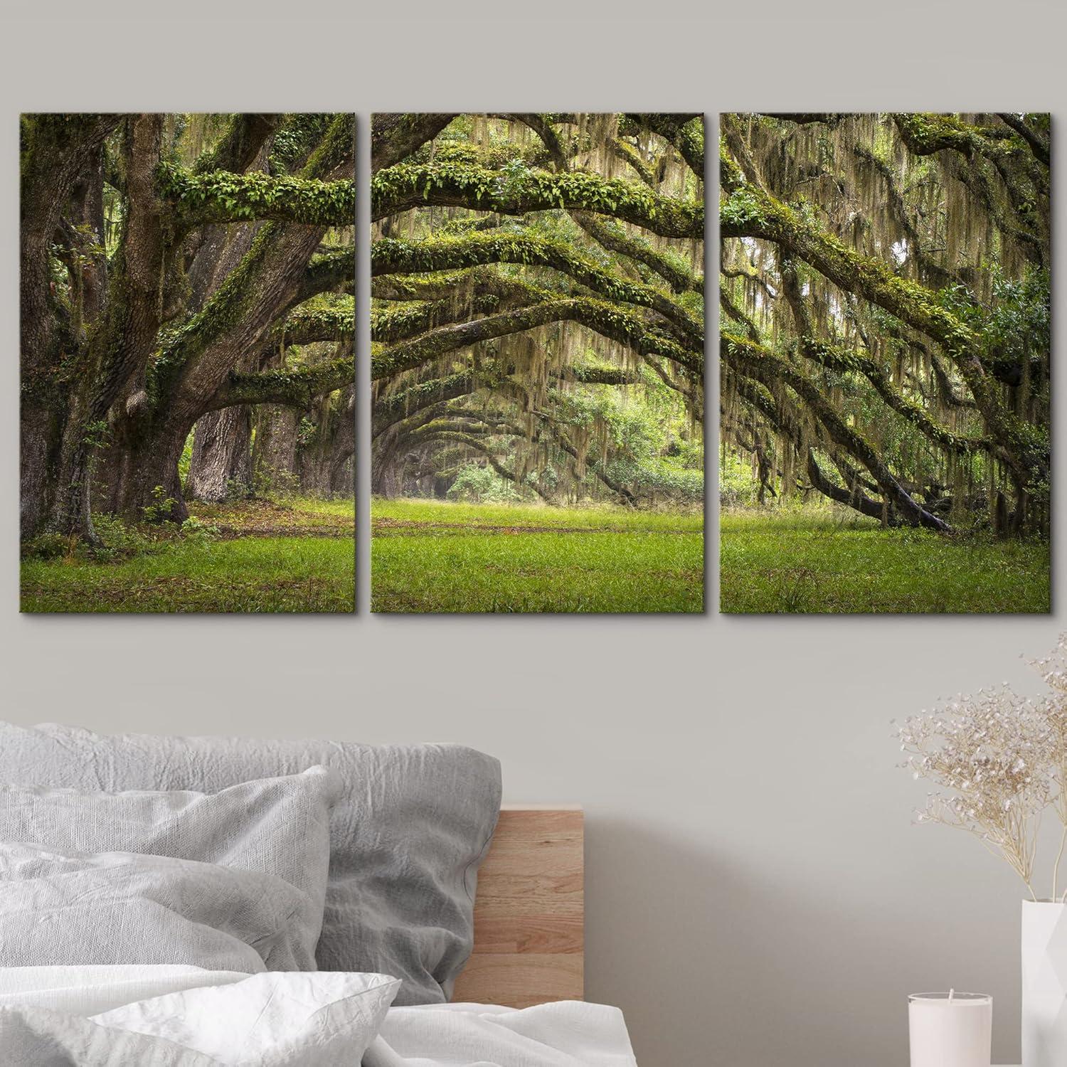 wall26 - 3 Piece Canvas Wall Art - Oaks Avenue Charleston SC Plantation Live Oak Trees Forest Landscape - Modern Home Art Stretched and Framed Ready to Hang - 24"x36"x3 Panels