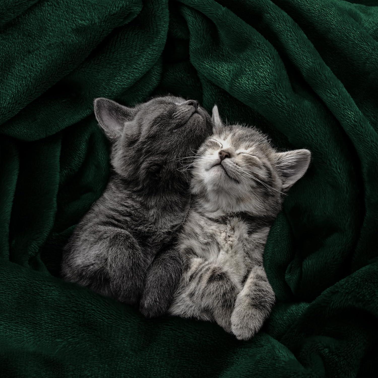 Utopia Bedding Fleece Blanket Throw Size Forest Green 300GSM Luxury Anti-Static Fuzzy Soft Microfiber Blanket for Couch, Sofa and Bed (60x50 Inch)