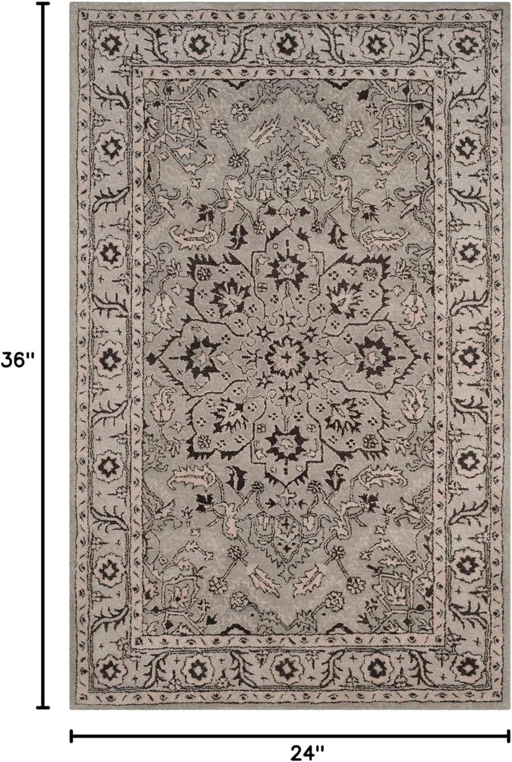 Antiquity AT58 Hand Tufted Area Rug  - Safavieh